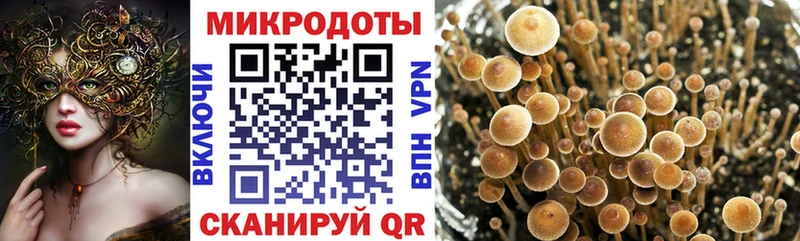 МЕГА ССЫЛКА  Белоозёрский  Галлюциногенные грибы мухоморы 